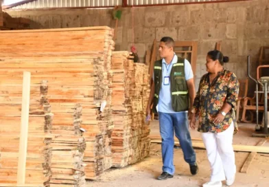 MARENA, gestión ambiental, tramite, protección sostenible,