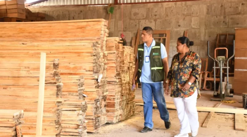 MARENA, gestión ambiental, tramite, protección sostenible,