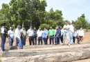 marena. costa caribe, gobierno de nicaragua, iniciativa forestal, puerto cabezas,