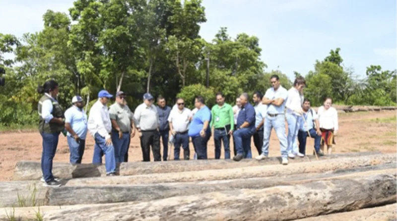 marena. costa caribe, gobierno de nicaragua, iniciativa forestal, puerto cabezas,
