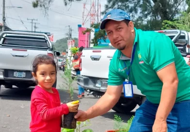 MARENA, Jinotega, reforestación, entrega de plantas,