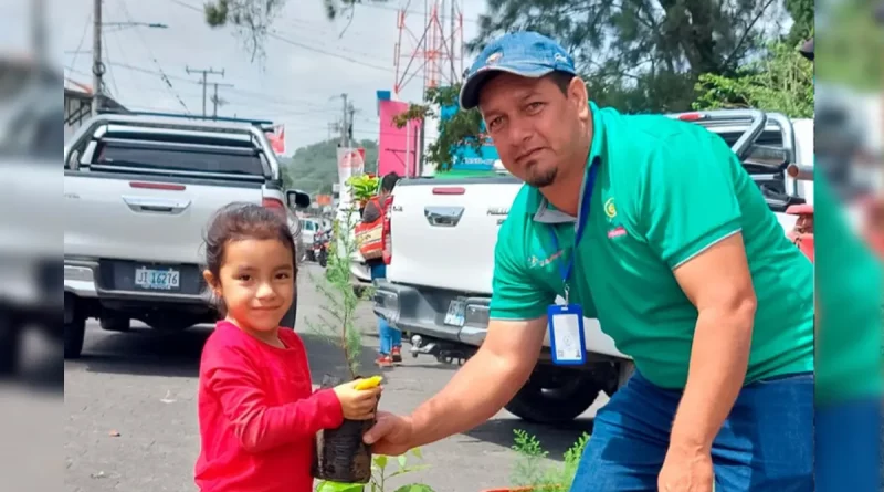 MARENA, Jinotega, reforestación, entrega de plantas,