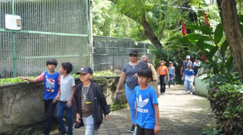 visitado, Parque, Zoológico Nacional, MARENA, alta afluencia, Nicaragua,