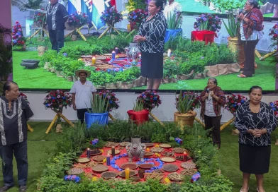 nicaragua, congreso, feria, medicina, natural,