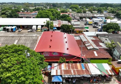 alcaldía de managua, managua, nicaragua, infraestructura para carnes y perecederos, reyna rueda
