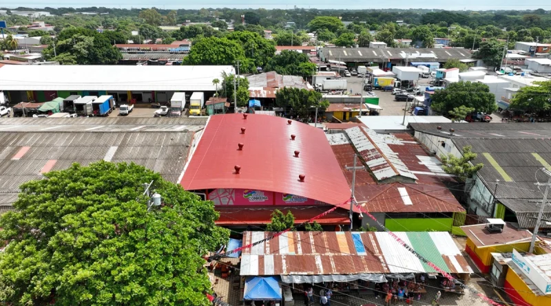 alcaldía de managua, managua, nicaragua, infraestructura para carnes y perecederos, reyna rueda