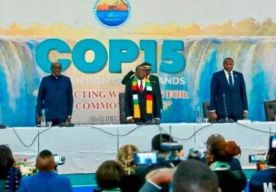 cop15, zimbabue, harare, marena, gobierno de nicaragua, nicaragua, proteccion del medioambiente