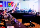 biodiversidad nicaragua, marena nicaragua, gran caribe, áreas marinos nicaragua