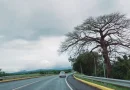 clima, nicaragua, ineter, posibilidad de lluvias, temperaturas máximas, 31 de julio de 2025, vientos nicaragua