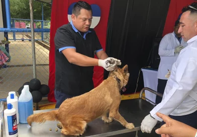 nicaragua, jornada veterinaria, sistema penitenciario,