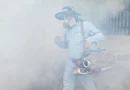 minsa, nicaragua, managua, jornada de fumigacion, abatizacion,