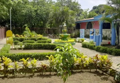 viviros del pueblo, gobierno de nicaragua,