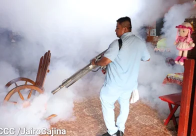 fumigación del minsa, minsa nicaragua, barrio germán pomares, managua, nicaragua