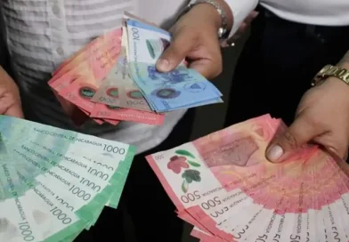 bcn, nicaragua, tasa de referencia monetaria, economia,