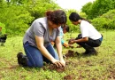 marena. nicaragua, plantas,