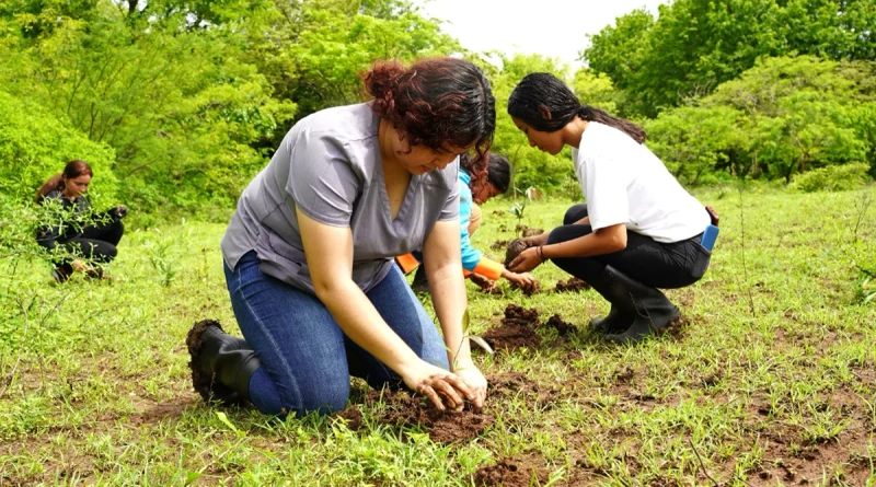 marena. nicaragua, plantas,
