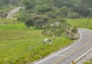 chontales, gobierno de nicaragua, carreteras, la libertad, mti,