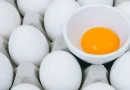 huevos, comer, salud, comer huevos, alimento, beneficios, investigación, estudios,