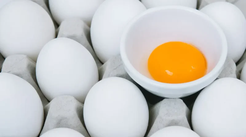 huevos, comer, salud, comer huevos, alimento, beneficios, investigación, estudios,