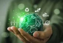 BRICS, economía verde, protección del medioambiente, protección, China, Rusia, India,