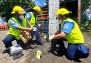 nicaragua, bomberos unidos, incendios,