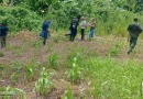 inspección ambiental, Ejército de Nicaragua, funcionarios del estado, MARENA, Jinotega, San José de Bocay, acompaña,