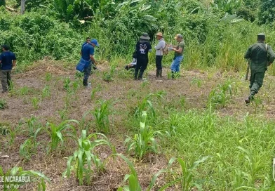inspección ambiental, Ejército de Nicaragua, funcionarios del estado, MARENA, Jinotega, San José de Bocay, acompaña,