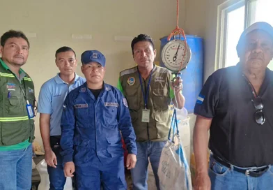 nicaragua, ejercito de ncaragua, tortugas,
