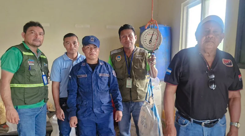 nicaragua, ejercito de ncaragua, tortugas,