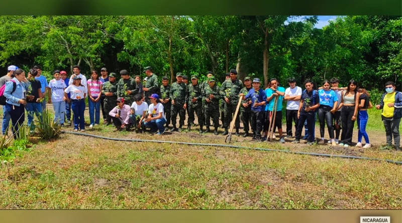 marena, inta, jornada de reforestacion, movimiento ambietalista, madriz, ejercito de nicaragua,