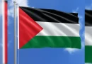 opinion, palestina, descubrimiento,