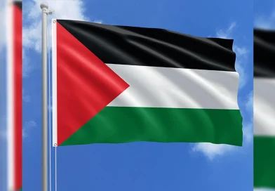 opinion, palestina, descubrimiento,
