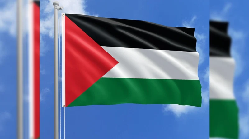 opinion, palestina, descubrimiento,