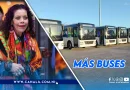 nicaragua, gobierno de nicaragua, china, belarus, buses, autobuses, rosario murillo,