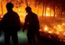incendios, España, incendios forestales, Preemergencia, Europa, Plan Estatal,