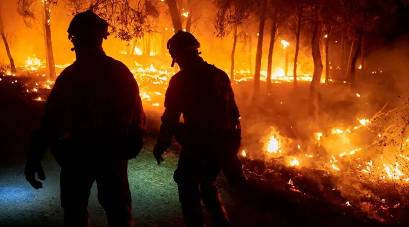 incendios, España, incendios forestales, Preemergencia, Europa, Plan Estatal,