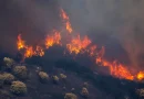 españa, videos, incendio forestal,