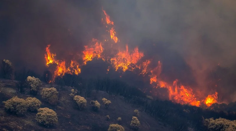 españa, videos, incendio forestal,