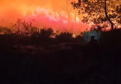 incendios, España, crisis, arrasan, ola de calor, incendios forestal,
