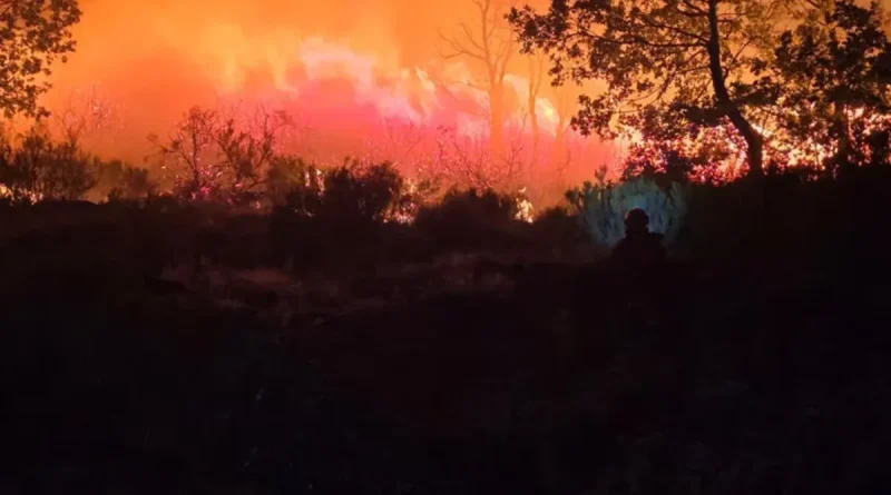 incendios, España, crisis, arrasan, ola de calor, incendios forestal,