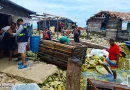 fuerza naval, ejercito de nicaragua, inpesca, acompañamiento, costa caribe sur,