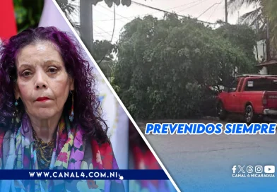 incidencias, afectaciones, Managua, vientos fuertes, lluvias, provocadas, superado,