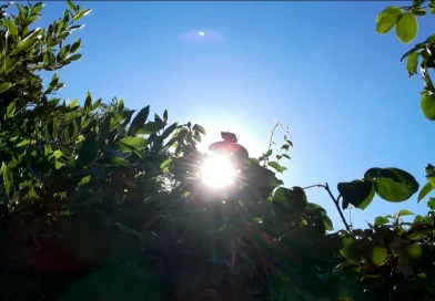 ineter, nicaragüa, clima, pronostico del tiempo, nicaragua,