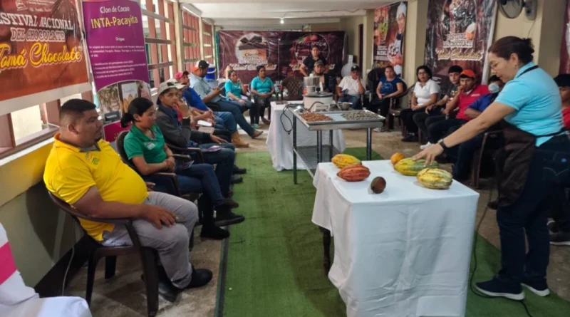 inta, cacao, jinotega, nicaragua, productores,