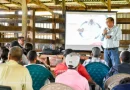 IPSA, gusano barrenador, IPSA, Chontales, acciones de prevención, productores,
