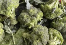 ministerio agropecuario, brocoli, nicaragua, agosto, produccion agricola,