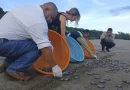 carazo, marena,tortugas,