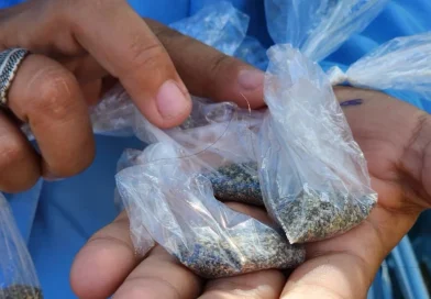 minsa, nicaragüa, salud, jornada de lucha antiepidemica, nicaragüa,