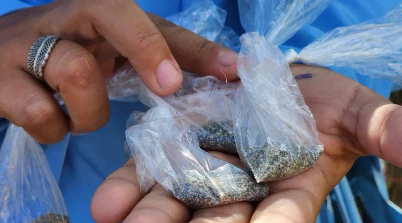 minsa, nicaragüa, salud, jornada de lucha antiepidemica, nicaragüa,