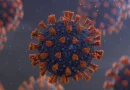 informe minsa, coronavirus, nicaragua,